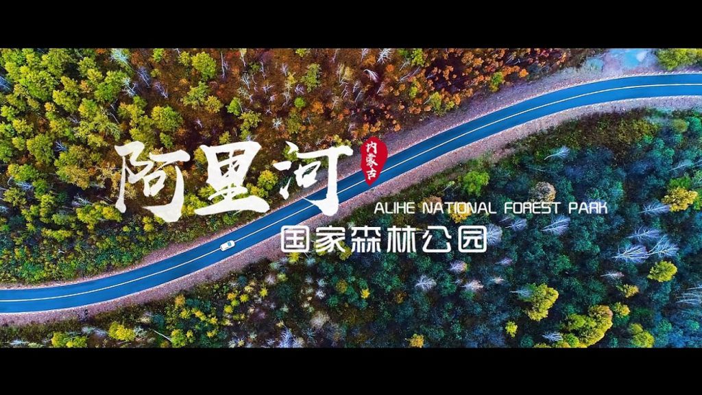 阿里河國(guó)家森林公園