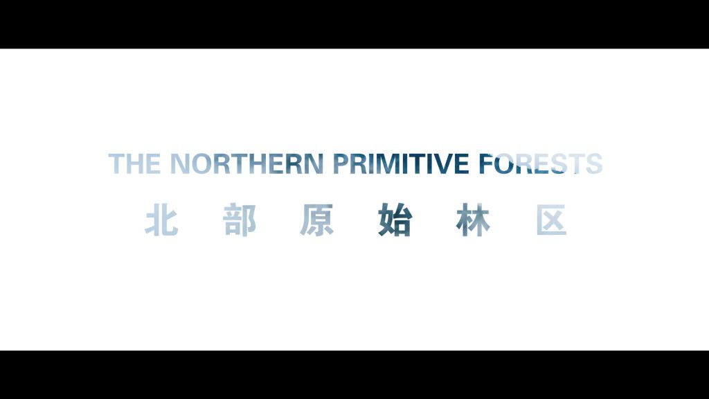 內(nèi)蒙古北部原始林區(qū)推介片