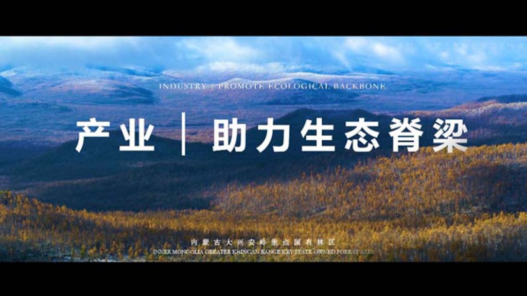 產(chǎn)業(yè)助力生態(tài)脊梁—森工產(chǎn)業(yè)專(zhuān)題片